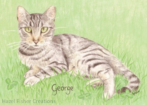 Pet cat portrait 1 Pet cat portrait 1