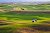 Colorful Rolling Grasslands of Palouse