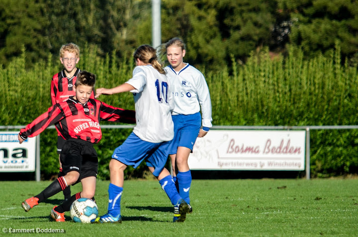 20130928 - BATO D2 - WVV D4 - 014.jpg
