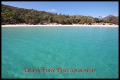 Cruise 027
