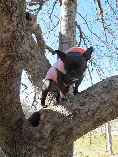 Maybe I'll just hang out here for awhile.