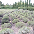 Daylesford Pure Indulgence 4
