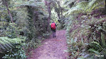 Queen Charlotte Walk