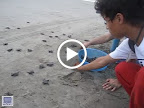 MVI_1471.MOV