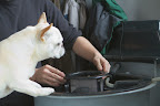 Then, lower the Compost Basket into the system. Then, lower the Compost Basket into the system.