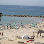 IMG_3267.JPG
