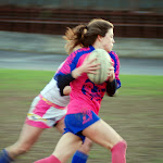 DSC_9055a.jpg