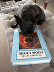 If I read this book, maybe I'll get a better understanding for G.K.