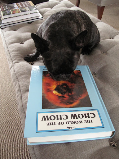If I read this book, maybe I'll get a better understanding for G.K.