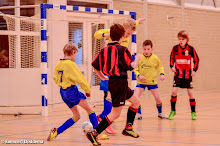 20140201 - WVV E2 - ZAALCOMPETITIE - 014.jpg