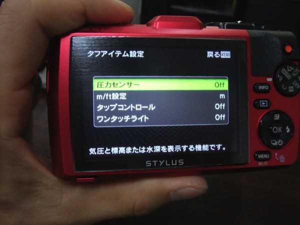 DSCF4879.jpg DSCF4879