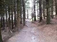 20120919_121558.jpg