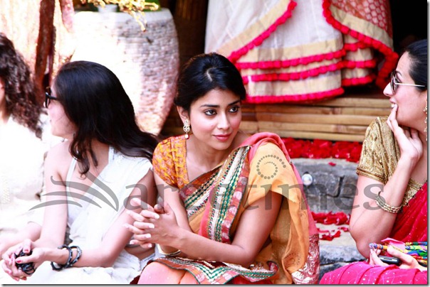 Shriya_Designer_Sari