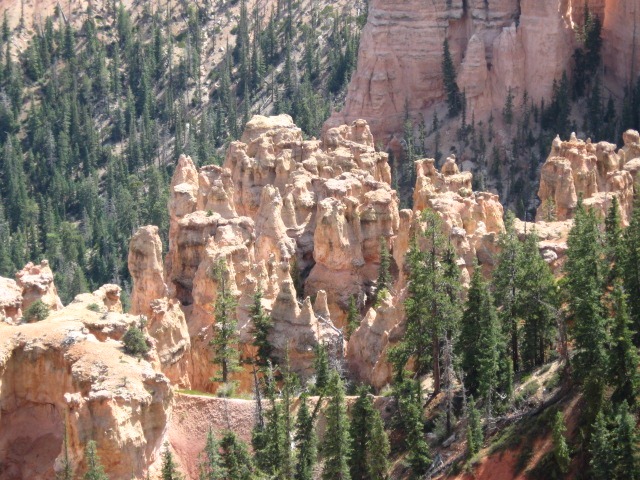[IMG_0015%255B3%255D.jpg]