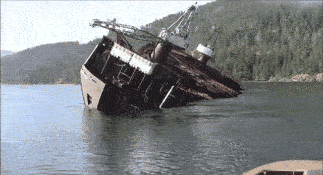 [nave_scarica_legna_gif_pagespeed_ce_bW77DYJEZS%255B3%255D.gif]