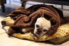 Feeling Weary