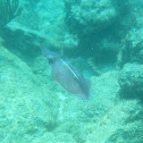 IMG_0475.JPG
