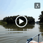 DSCN9329-MOTION.gif