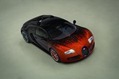 Bugatti-Veyron-Grand-Sport-Venet-16