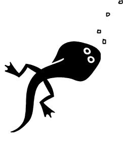 [Tadpole%2520fun%255B2%255D.jpg]