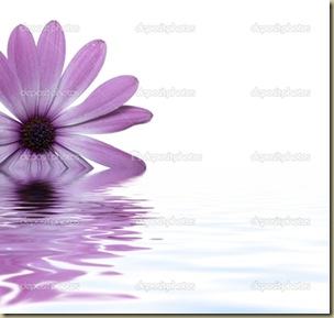 depositphotos_1724171-Flower-floating-in-water