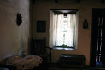 IMG_7338.jpg