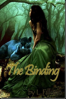 thebinding thebinding