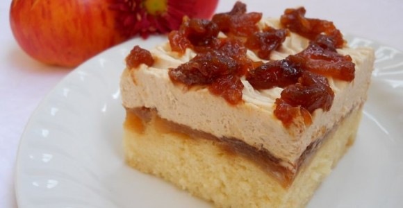 [prajitura-cu-mere-carameliyate-si-crema-fina-cu-scortisaoara-2-580x300%255B3%255D.jpg]