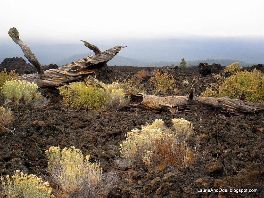 [Lave-in-Newberry-National-Monument3.jpg]