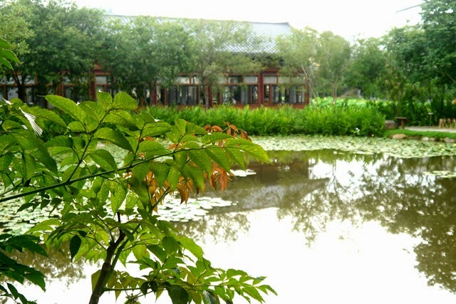 [P1050778%255B3%255D.jpg]