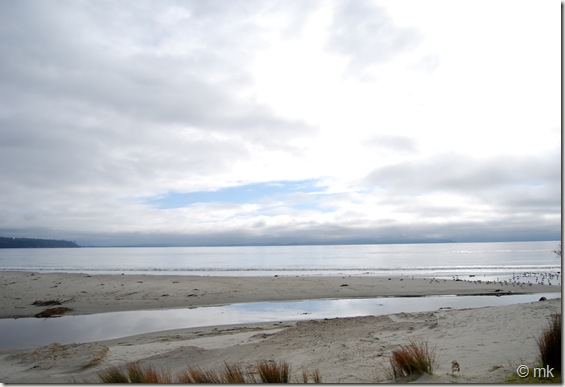 DSC_1073 DSC_1073