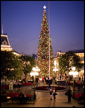 CREATING HOLIDAY MEMORIES Ð When it comes to making magical memories, thereÕs no place like the Disneyland Resort during the Holidays. Now through Jan. 8,2012, the season shines more brightly than ever with sparkling dŽcor and daily performances of ÒA Christmas FantasyÓ parade.. The holiday experiences include special holiday versions of ÒitÕs a small worldÓ and Haunted Mansion, the ÒBelieve Éin Holiday MagicÓ fireworks spectacular, and a nightly snowfall on Main Street, U.S.A.  Disney California Adventure park gleams with the Êmerriment of the season, including a beautiful Christmas tree that towers over Paradise Bay. (Paul Hiffmeyer/Disneyland)