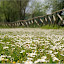 PICT0227.jpg