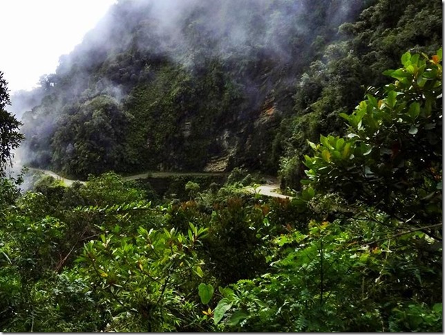 North_Yungas_DSC00738