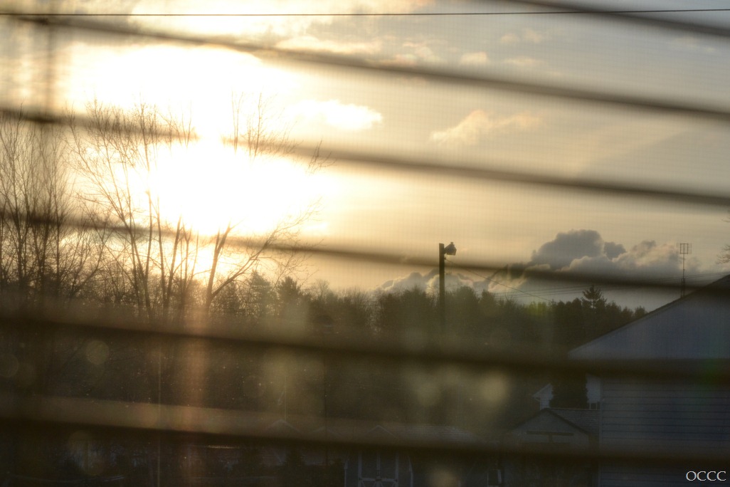 [DSC_7088%255B3%255D.jpg]