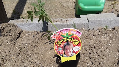 2014-05-04 12.55.23.jpg