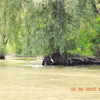 DSCN7161.JPG