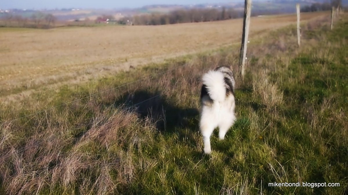 [I%2520walk%2520the%2520line%255B4%255D.jpg]