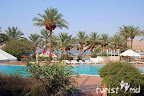 Фото 9 Dessole Seti Sharm Resort