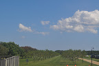 Second vineyard of the day: Martha Clara. This winery was actually started by the Entenmann family and is on a bigger plot of land than Duckwalk -- 200+ acres!