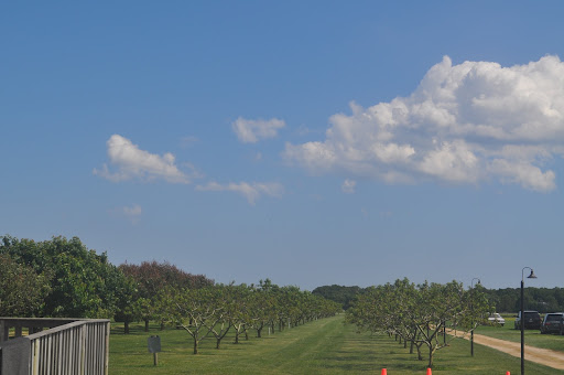 Second vineyard of the day: Martha Clara. This winery was actually started by the Entenmann family and is on a bigger plot of land than Duckwalk -- 200+ acres!