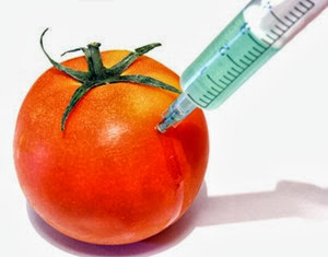 frutas con trangenicos españa frutas con trangenicos españa