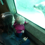 P1010339.JPG