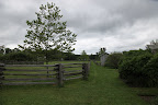 Once again, it's gray and dreary at the farm and not a patch of blue and very little color in sight!