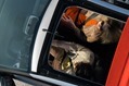 Citroen-C1-13 Citroen-C1-13