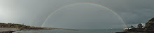 DSC00118
