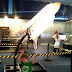 2012-05-19 18.59.27.jpg