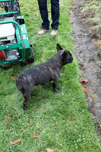 That machine is coming this way?  OK Martha, I'll move.
