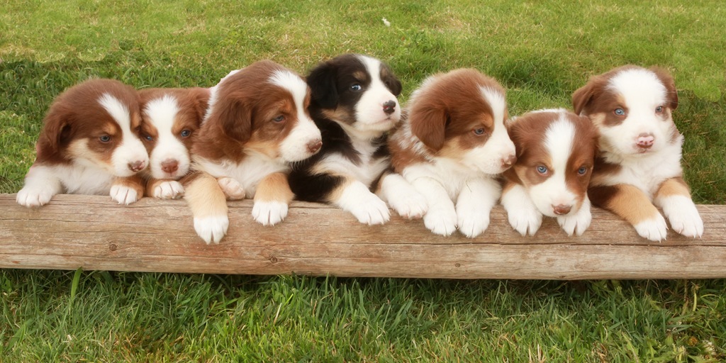 [DY8A5494%25205x10%255B6%255D.jpg]