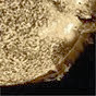 Roly Porter_Life Cycle Of A Massive Star Roly Porter_Life Cycle Of A Massive Star